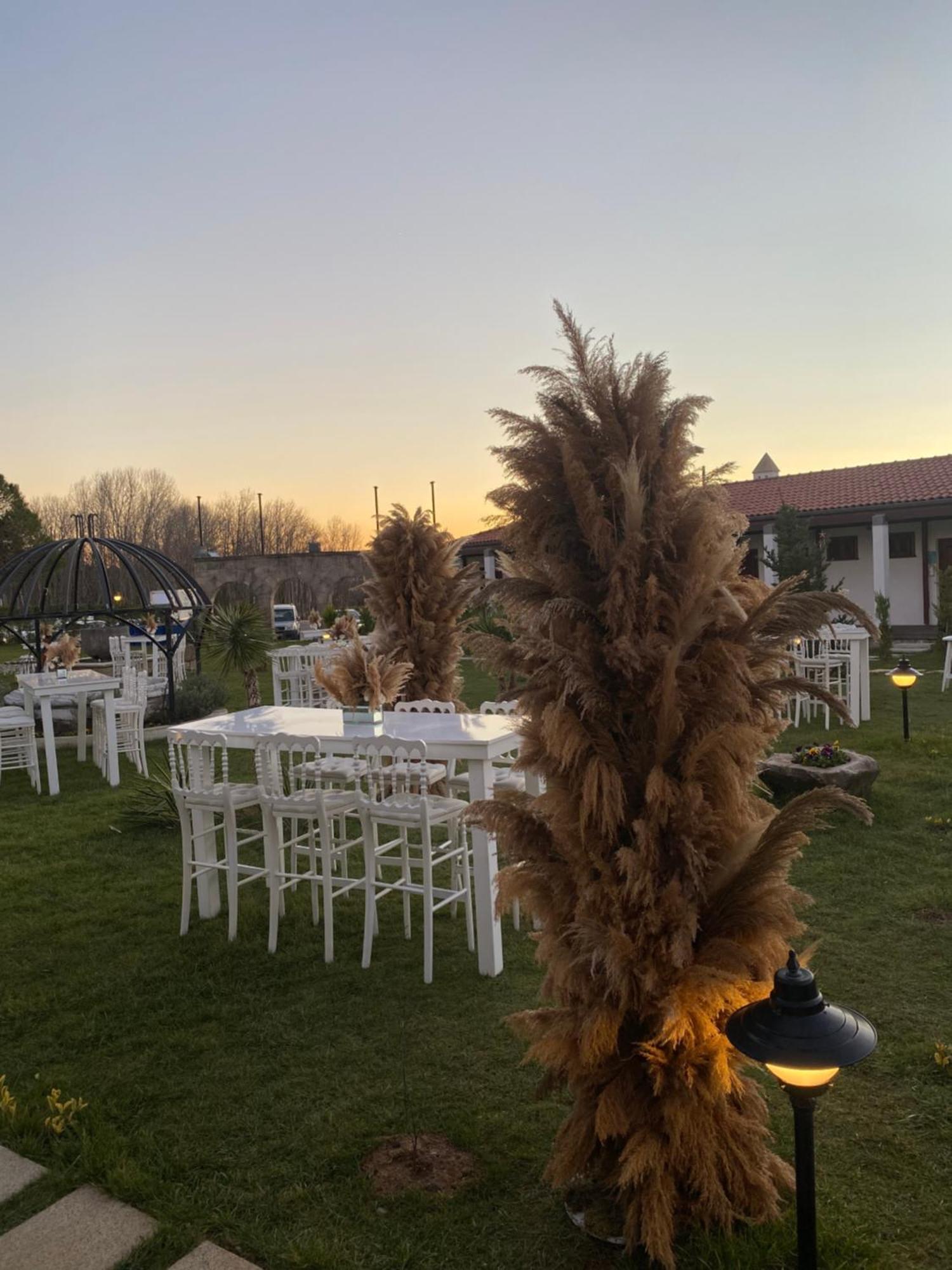 Tarihi Kumbaba Otel Ağva Buitenkant foto